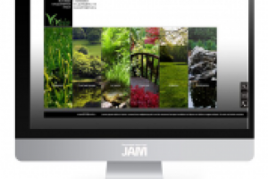 Дизайн сайта ландшафтной компании