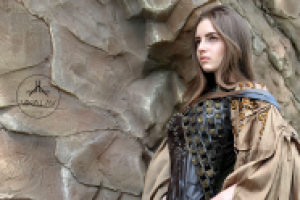 Работа 3042423