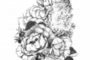 Работа 3042389