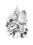 img3042389.png