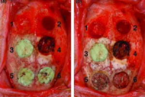 Кандидатская диссертация