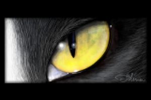 Кошачий глаз