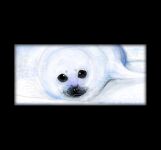 img742027.png