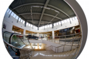 Работа 1338810