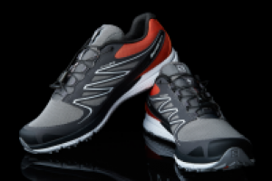 Работа 2384550