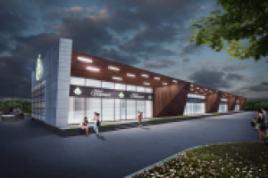 Эскизный проект. " Здоровая ферма " перспектива 1