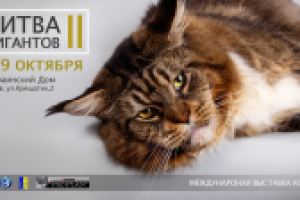 Работа 2915196