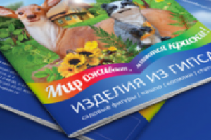 Буклет для компании Мегадек