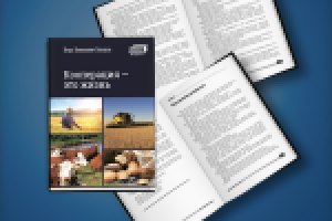 верстка книги