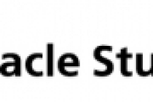 Вариант логотипа для Miracle Studio