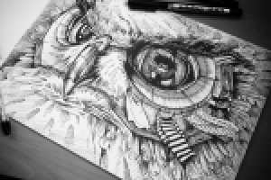 Процесс иллюстрирования.