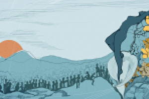 BIRTH, video illustration