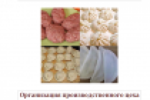 БП инвест проекта Орган пр-ва и хран мясных полуф-тов в Барнаул