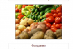 Бизнес-план инвест проекта по стандарту ПП РФ 1470