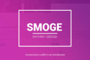 Работа 3002091