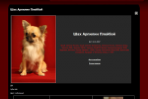 Сайт питомника чихуахуа "Шустрый малый"