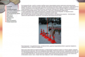 Тротуарная плитка