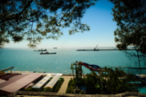 Работа 1805511