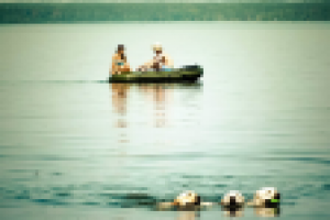 Работа 1805508