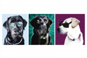 Серия плакатов в стиле «поп-арт»