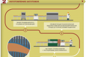 Анимация SVG на сайте