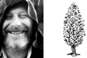 Арт-проект "Деревья/Люди"