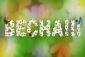 Текст из ромашек.