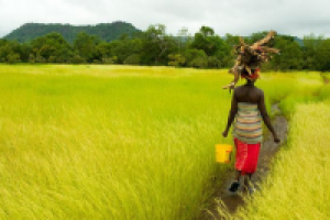 Письмо Президенту РФ