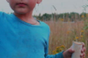 Работа 2032633