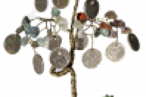 Съемка. Обтравка.