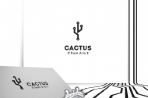 CACTUS - IT сопровождение малого и среднего бизнеса