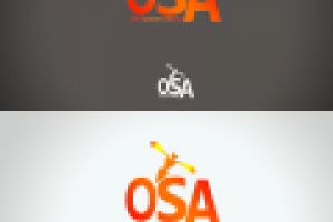 Конкурсная работа