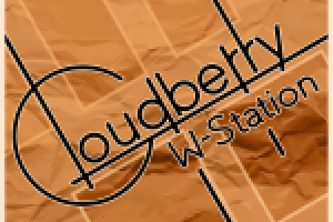 Работа 3019969