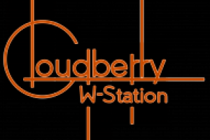 Работа 3019968