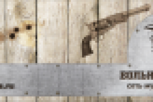 Вольные стрелки – визитка