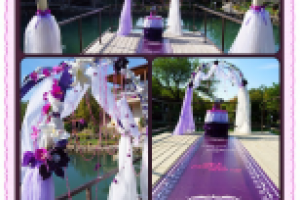 Баннерная дорожка и место регистрации