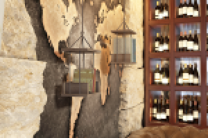 Библиотека-Бар