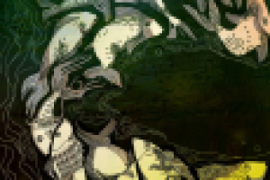 Ночные рыбы