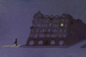 Ночь на Петроградке