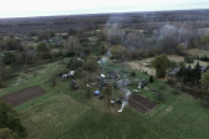 Лесная деревенька