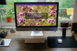 САЙТ РЕКЛАМНОГО АГЕНТСТВА «ДУШИЦА»