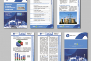 Отчет для РосАтома. 30 стр.