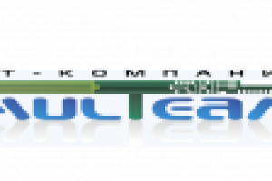 MulTeam, ИТ-компания