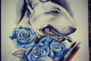 Эскиз татуировки Бультерьер