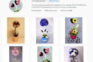 Продвижение аккаунтов о топиариях в "вконтакте" и "инстаграм"