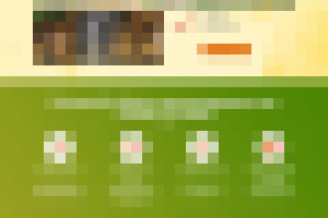 Ландшафтный дизайн