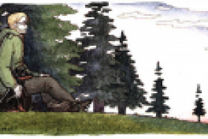 Для блога норвежского политика