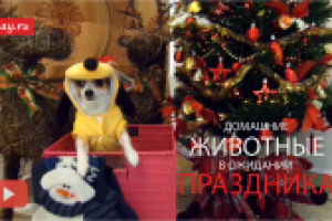 Новогодняя подборка