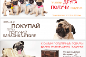 Баннеры и Мопсы