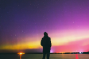 Работа 3008908